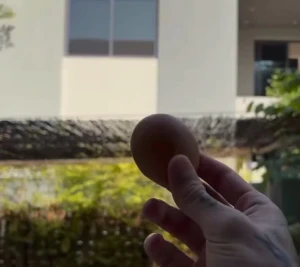 بالفيديو.. ثيو هيرنانديز محترف الهلال يقذف منزل زميله في الفريق بالبيض