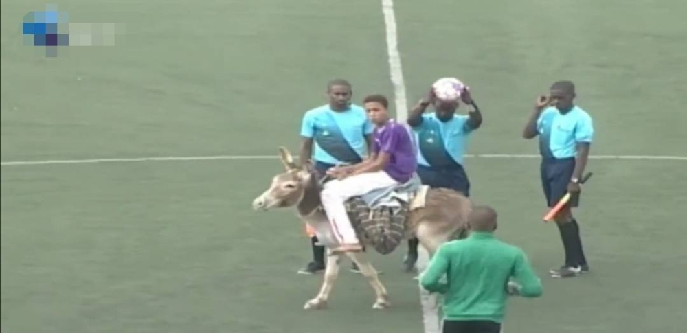 شاهد.. واقعة غريبة في الملاعب الإفريقية.. إحضار الكرة إلى حكم المباراة على ظهر حمار