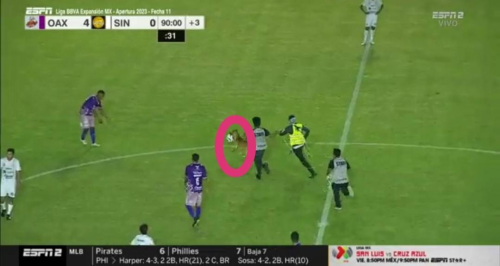 شاهد.. كلب يقتحم الملعب ويخطف الكرة في الدوري المكسيكي والأمن يفشل في استعادتها