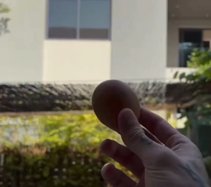 بالفيديو.. ثيو هيرنانديز محترف الهلال يقذف منزل زميله في الفريق بالبيض